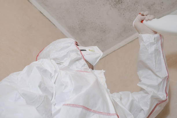 Asbestos and Lead Testing During Mold Inspection in Boca Raton, FL